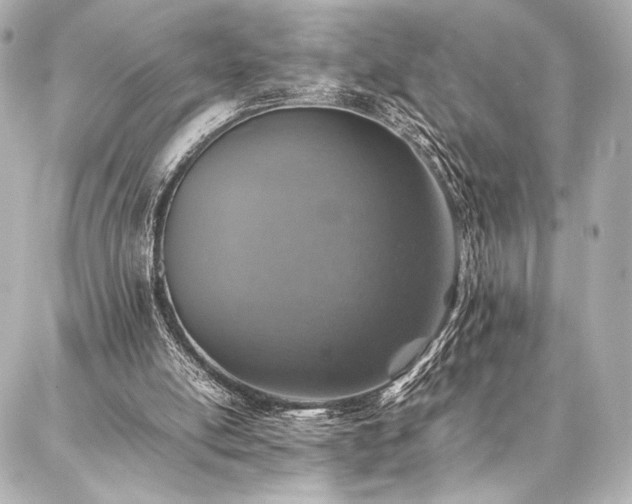 X0000086970054200704231526