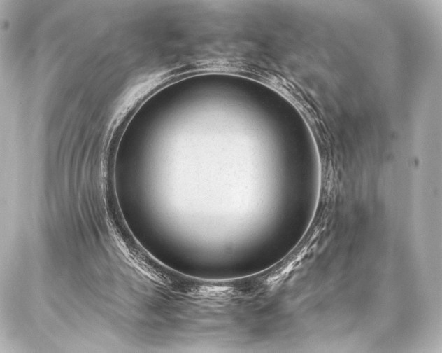 X0000086970055200704231526