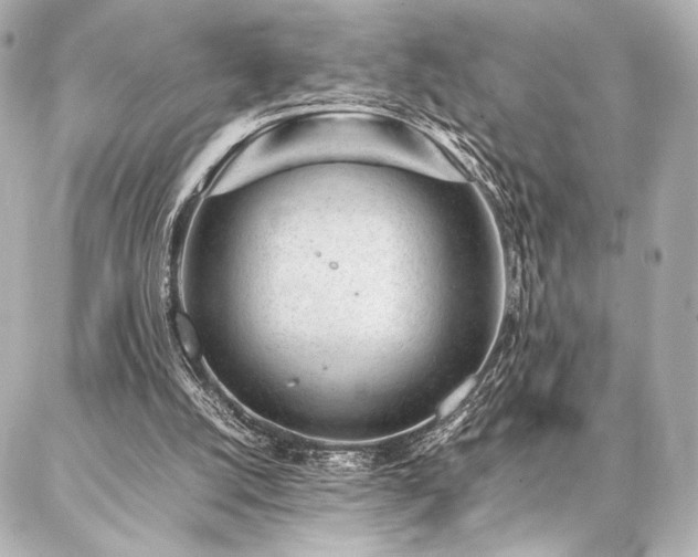 X0000086970056200704231526