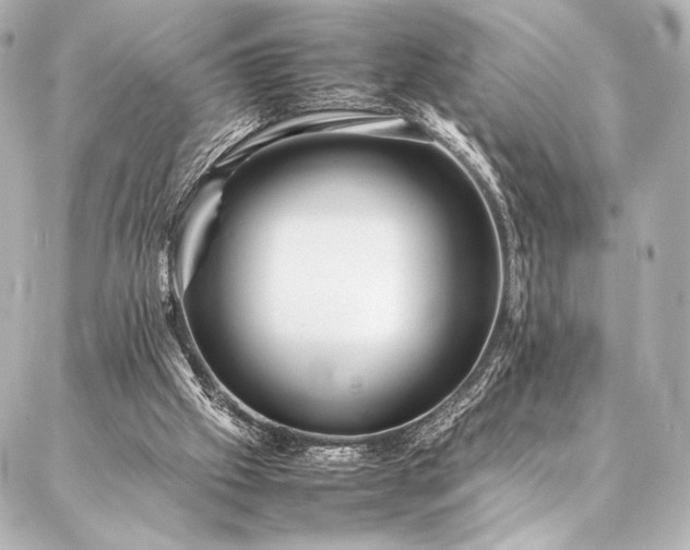 X0000086970057200704231526