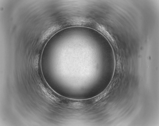 X0000086970058200704231526