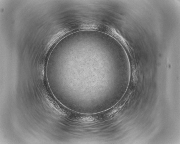 X0000086970059200704231526