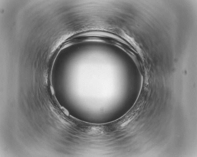 X0000086970060200704231526