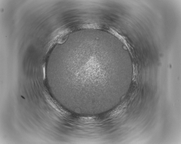 X0000086970061200704231526