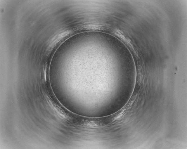 X0000086970062200704231526