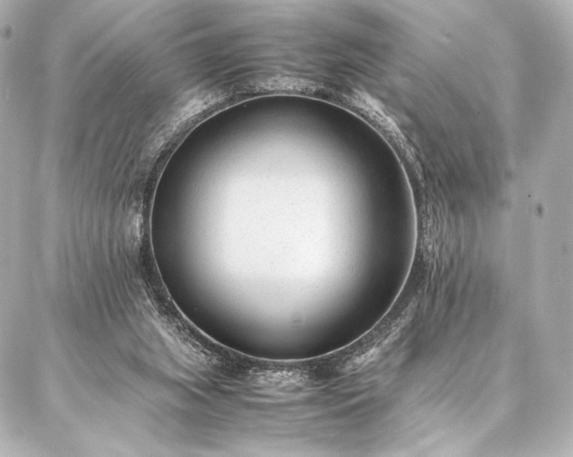 X0000086970063200704231526