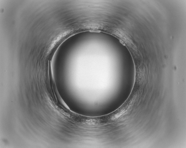 X0000086970064200704231526