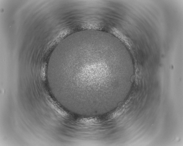 X0000086970065200704231526