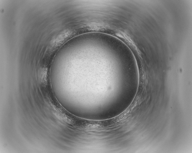 X0000086970066200704231526