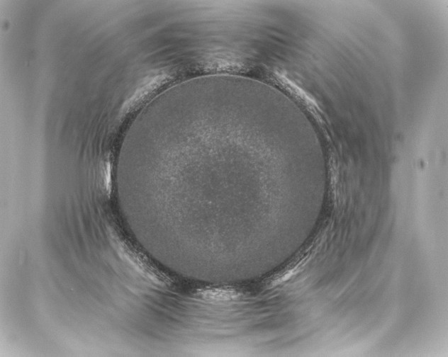 X0000086970067200704231526