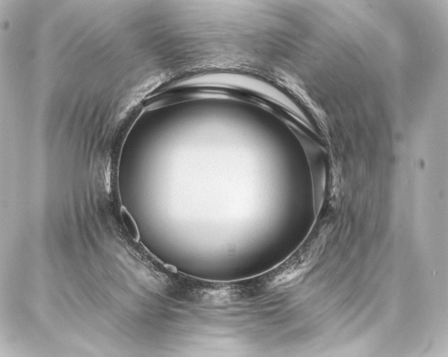 X0000086970068200704231526