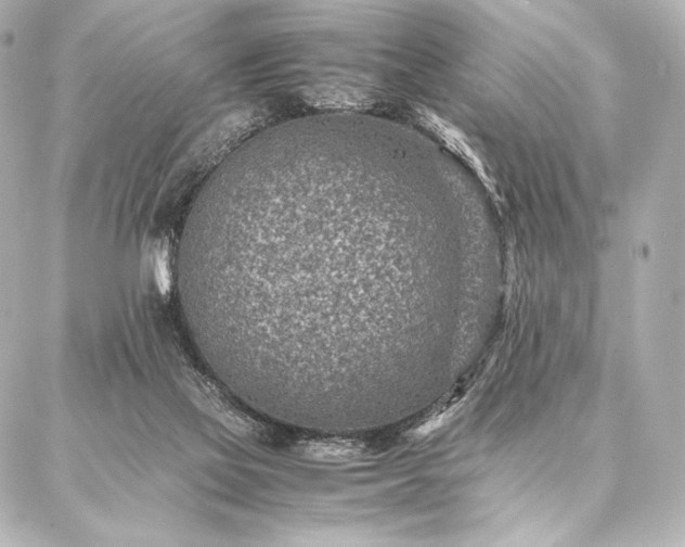 X0000086970069200704231526