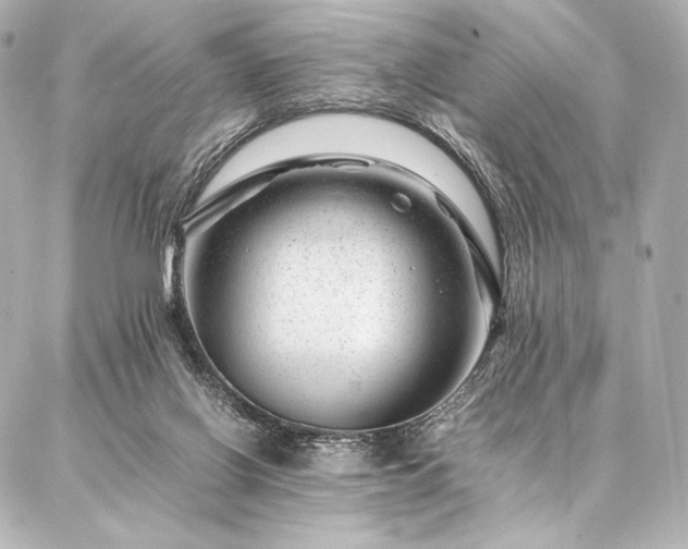 X0000086970070200704231526