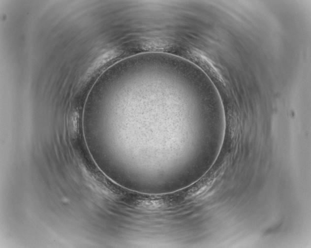 X0000086970071200704231526