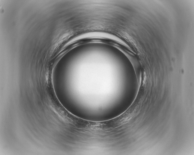 X0000086970072200704231526