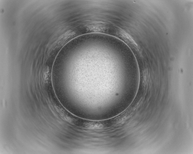 X0000086970073200704231526