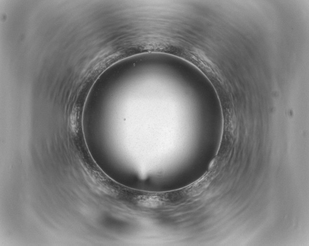 X0000086970074200704231526