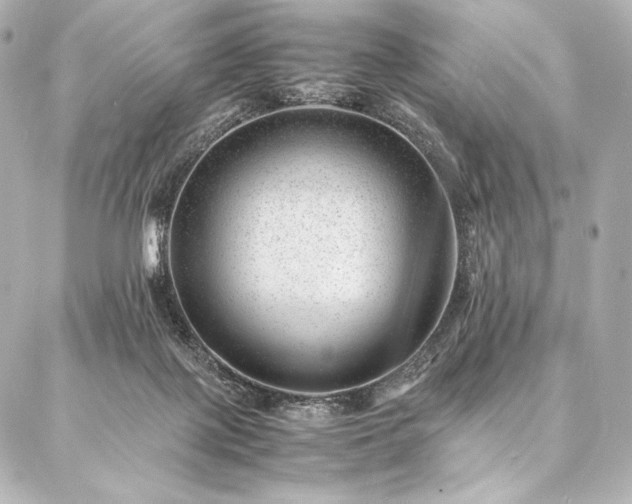 X0000086970075200704231526