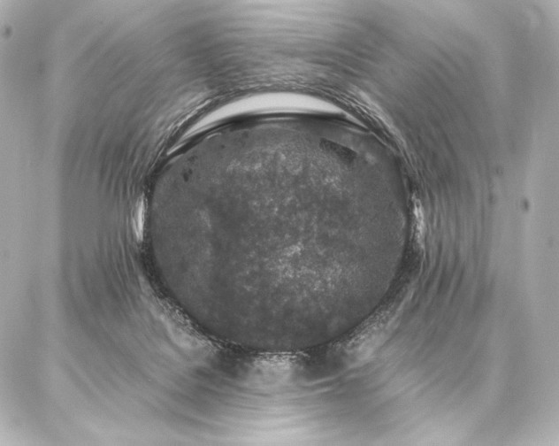 X0000086970076200704231526