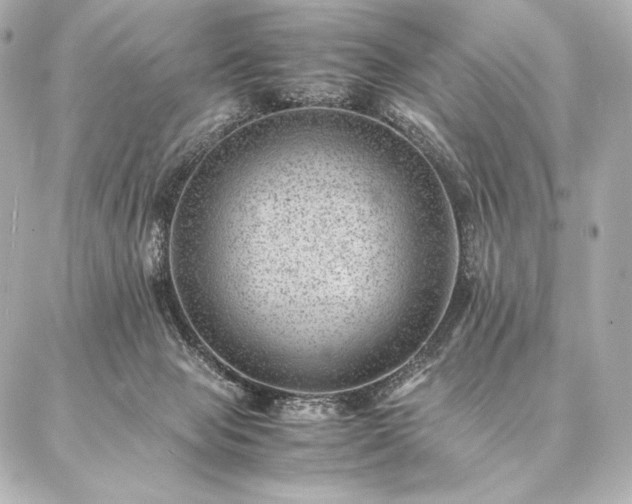 X0000086970077200704231526