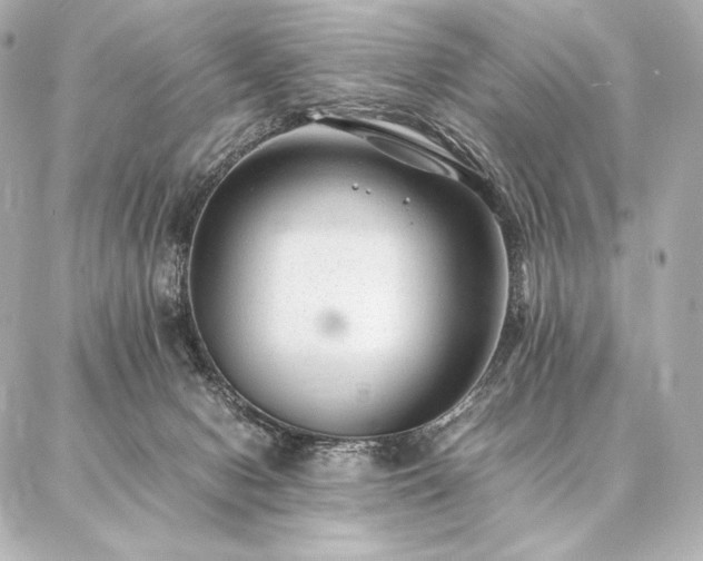 X0000086970078200704231526