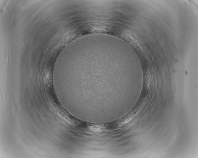 X0000086970079200704231526