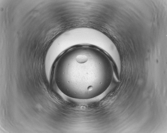 X0000086970080200704231526