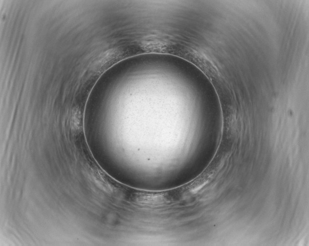 X0000086970081200704231526