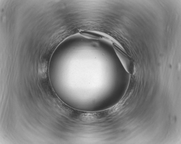 X0000086970082200704231526