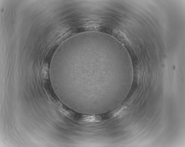 X0000086970083200704231526