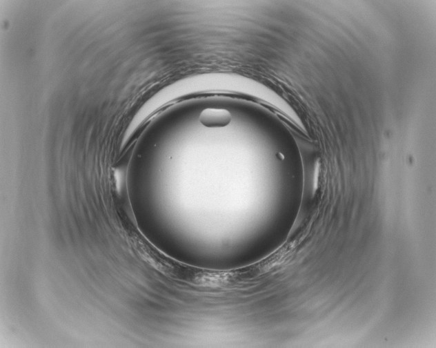 X0000086970084200704231526