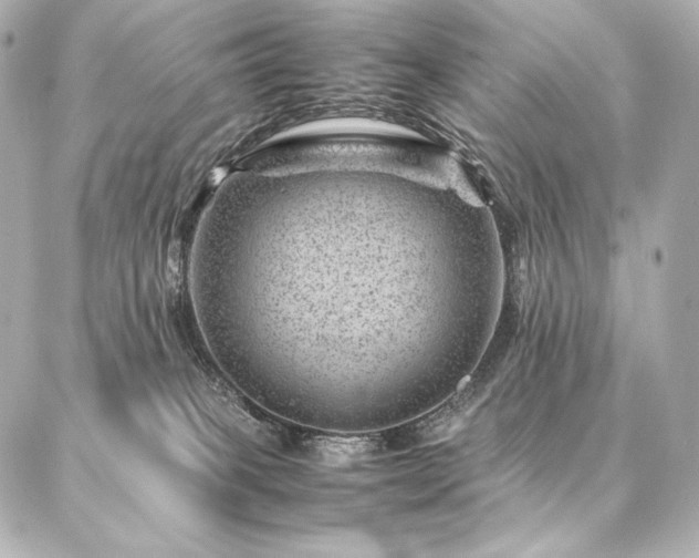 X0000086970085200704231526