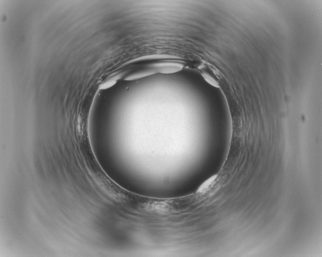 X0000086970086200704231526