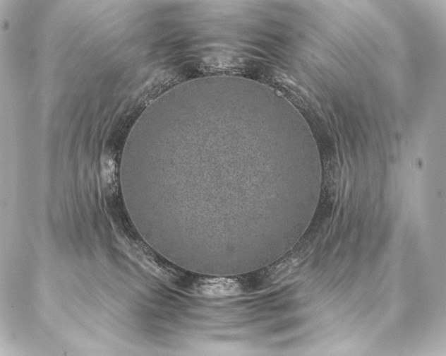 X0000086970087200704231526