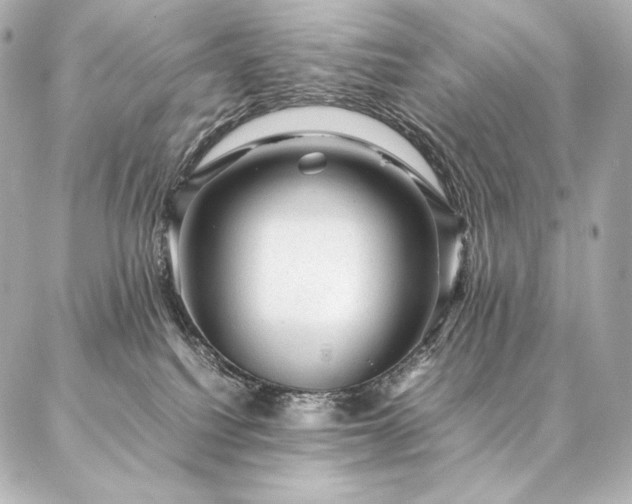 X0000086970088200704231526