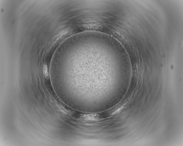 X0000086970089200704231526