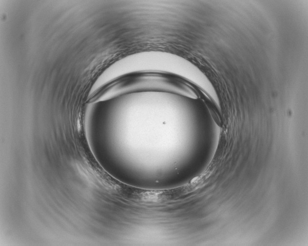 X0000086970090200704231526