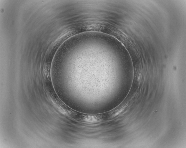 X0000086970091200704231526