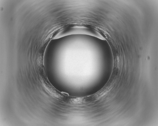 X0000086970092200704231526