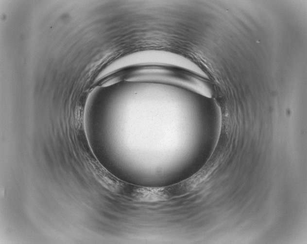 X0000086970093200704231526