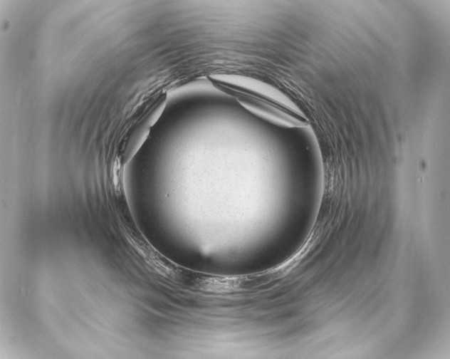 X0000086970094200704231526