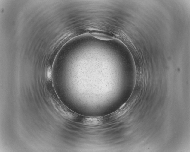 X0000086970095200704231526