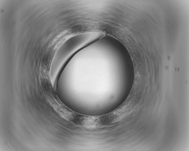 X0000086970096200704231526