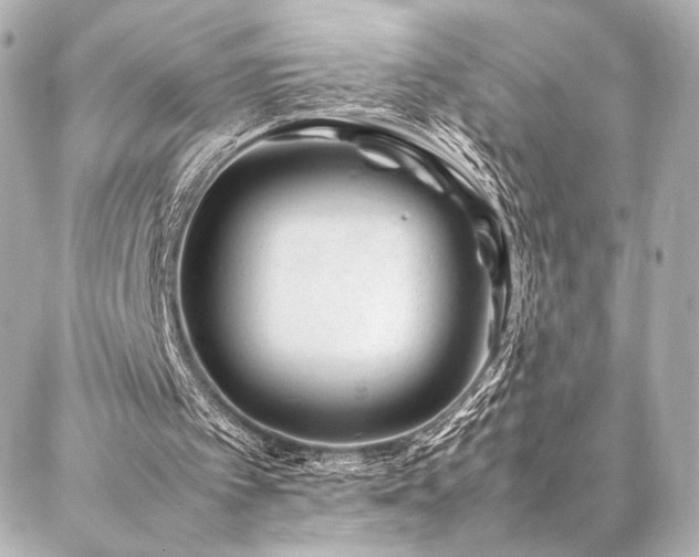 X0000086970097200704231525