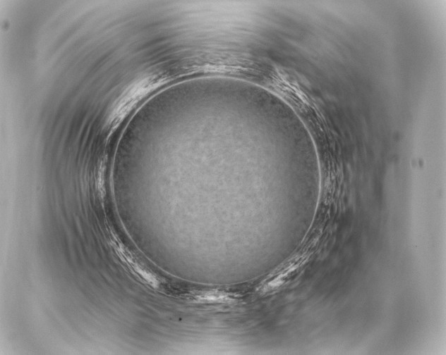 X0000086970098200704231525