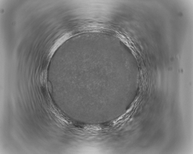 X0000086970099200704231525