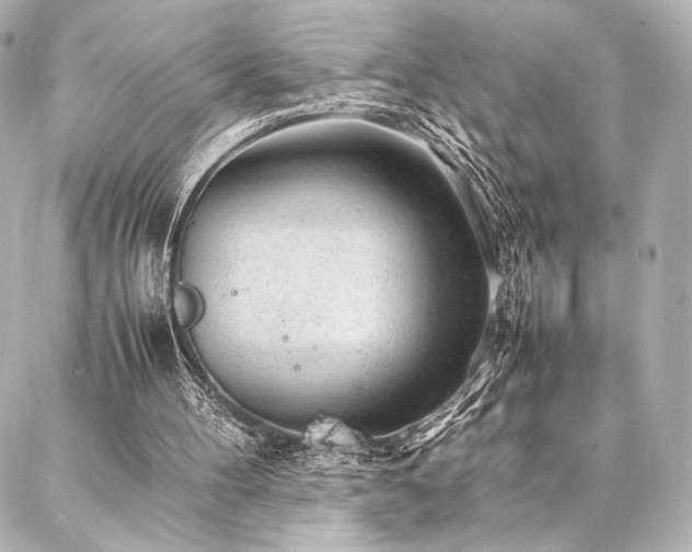 X0000086970100200704231525