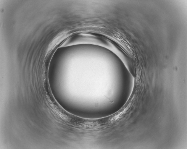 X0000086970101200704231525