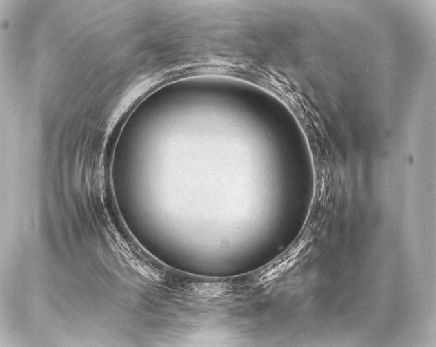 X0000086970102200704231525