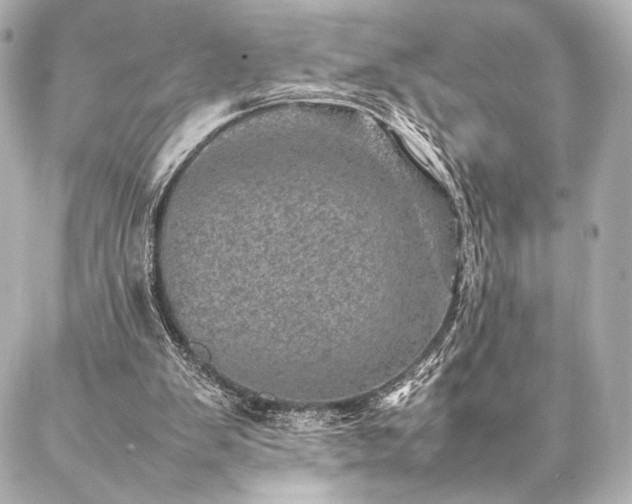 X0000086970103200704231525